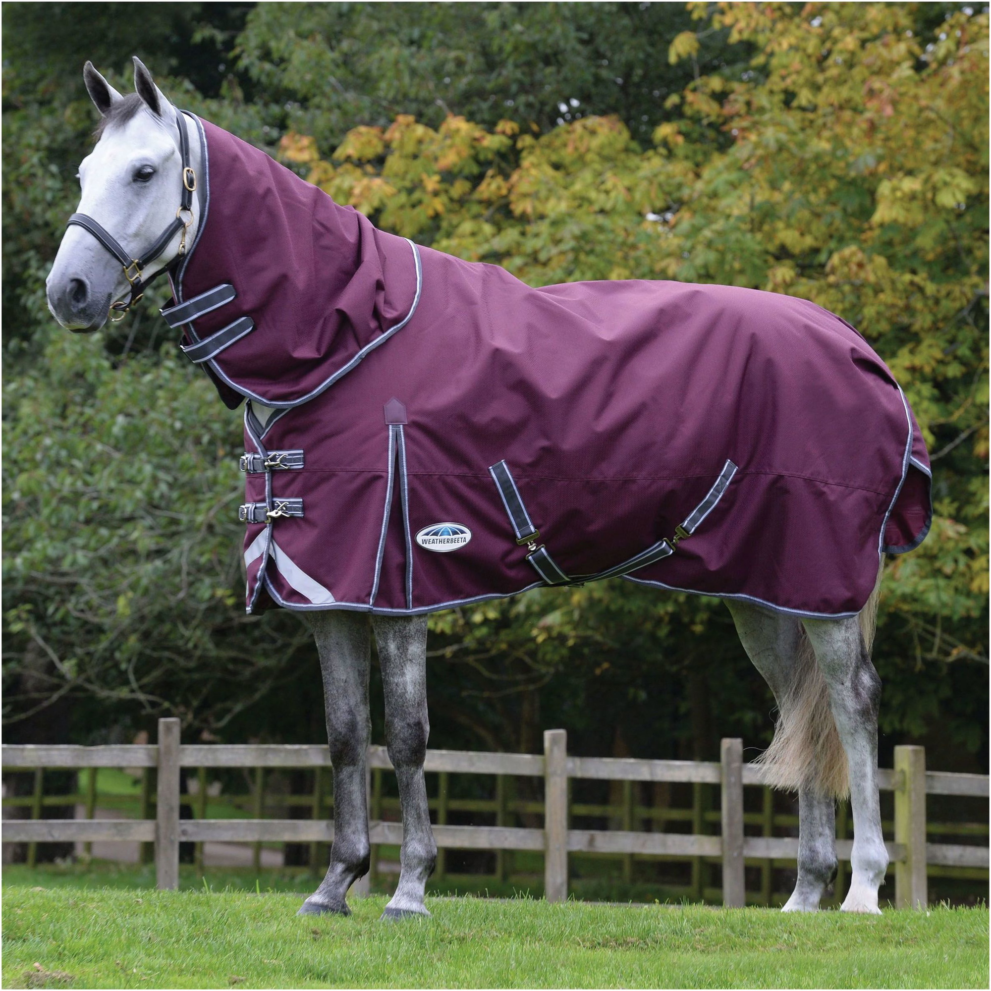 Weatherbeeta Comfitec Plus Dynamic II Lite Detach-A-Neck Rug - Maroon